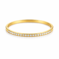 🎁 Crystal Bangle (100% off)